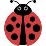 Ladybird Ladybird
